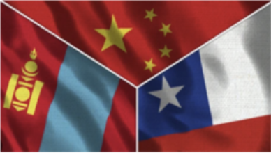 CASHMERE & ALPACA: A MONGOLIAN IN CONCEPCION